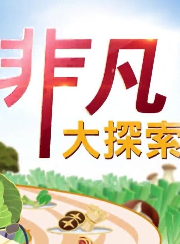 推特博主Elsa真实约反差钢琴老师啪啪自拍 - 百度AV海报